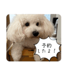 1st ecrin（個別スタンプ：38）