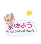 おにぎりチワワ24長文で丁寧な大人の気持ち（個別スタンプ：1）