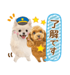 かわいい犬たち❤️ワンダフル ポメ（個別スタンプ：5）