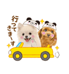 かわいい犬たち❤️ワンダフル ポメ（個別スタンプ：18）