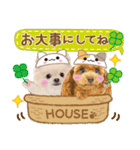 かわいい犬たち❤️ワンダフル ポメ（個別スタンプ：19）