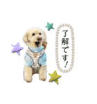 くっちスタンプ3（個別スタンプ：6）