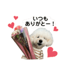 くっちスタンプ3（個別スタンプ：16）