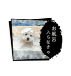 くっちスタンプ3（個別スタンプ：17）