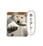 くっちスタンプ3（個別スタンプ：21）