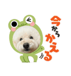 くっちスタンプ3（個別スタンプ：37）