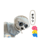 くっちスタンプ3（個別スタンプ：40）