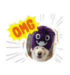 秋田犬ブラザーズ（個別スタンプ：24）