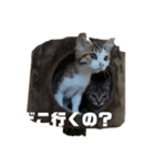ラテモカシリーズ1（個別スタンプ：2）