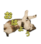 ラテモカシリーズ1（個別スタンプ：5）