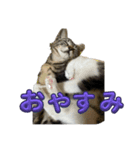 ラテモカシリーズ1（個別スタンプ：7）