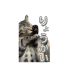 ラテモカシリーズ1（個別スタンプ：8）
