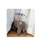 きゃらめるちゃんスタンプ（個別スタンプ：6）