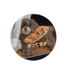 きゃらめるちゃんスタンプ（個別スタンプ：10）