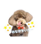 きゃらめるちゃんスタンプ（個別スタンプ：15）