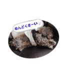きゃらめるちゃんスタンプ（個別スタンプ：34）