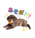 きゃらめるちゃんスタンプ2（個別スタンプ：1）