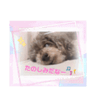 きゃらめるちゃんスタンプ2（個別スタンプ：11）