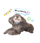 きゃらめるちゃんスタンプ2（個別スタンプ：39）