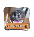 きゃらめるちゃんスタンプ2（個別スタンプ：40）