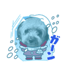 りんちゃんLINEスタンプ6（個別スタンプ：8）