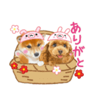 かわいい犬たち❤️ワンダフル しばけん（個別スタンプ：7）