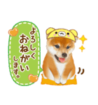 かわいい犬たち❤️ワンダフル しばけん（個別スタンプ：11）