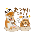 かわいい犬たち❤️ワンダフル しばけん（個別スタンプ：12）