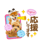 かわいい犬たち❤️ワンダフル しばけん（個別スタンプ：14）