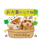 かわいい犬たち❤️ワンダフル しばけん（個別スタンプ：19）