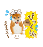 かわいい犬たち❤️ワンダフル しばけん（個別スタンプ：22）