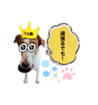 スムースジャック（個別スタンプ：1）