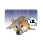 唄act3（個別スタンプ：7）