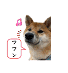唄act3（個別スタンプ：9）