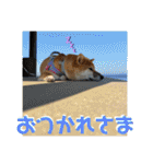 唄act3（個別スタンプ：11）