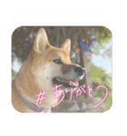 唄act3（個別スタンプ：13）