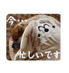 唄act3（個別スタンプ：19）
