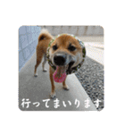 唄act3（個別スタンプ：20）