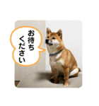 唄act3（個別スタンプ：21）