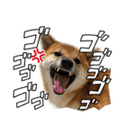 唄act3（個別スタンプ：22）