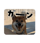 唄act3（個別スタンプ：24）