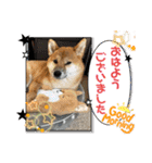 唄act3（個別スタンプ：25）