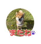唄act3（個別スタンプ：27）