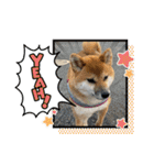 唄act3（個別スタンプ：30）