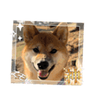 唄act3（個別スタンプ：32）