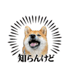 唄act3（個別スタンプ：33）