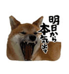 唄act3（個別スタンプ：35）