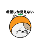みかんを被った猫（個別スタンプ：11）