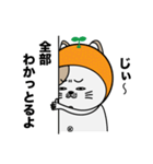 みかんを被った猫（個別スタンプ：21）