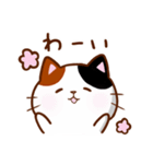 うちの子スタンプ 三毛猫（個別スタンプ：16）